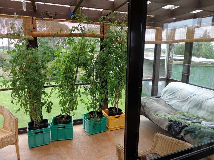 317 Port Molyneux Road Kaka Point_9