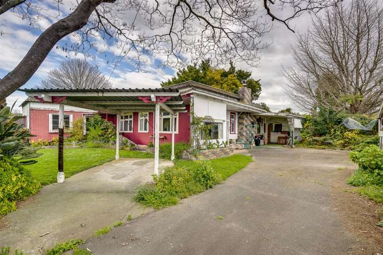 77 Murphy Road Taradale_1