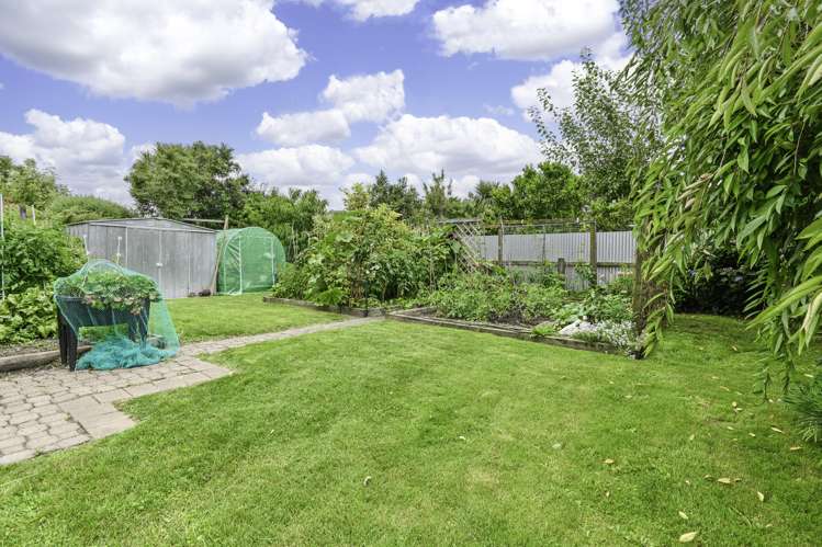 713 Seddon Street Raureka_19