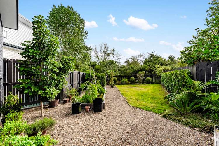 3 Teuila Grove Wai O Taiki Bay_5