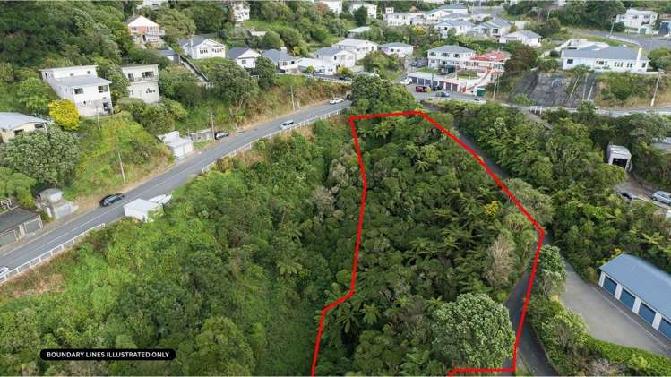 72 Farnham Street Mornington_12