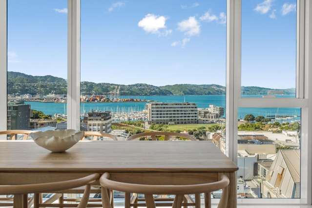 10 Alpha Street Te Aro_1