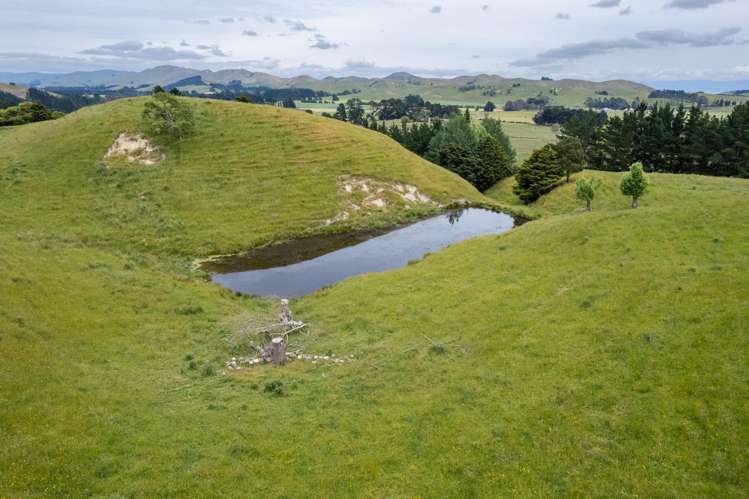 196 Ngapaeruru Road Dannevirke_8