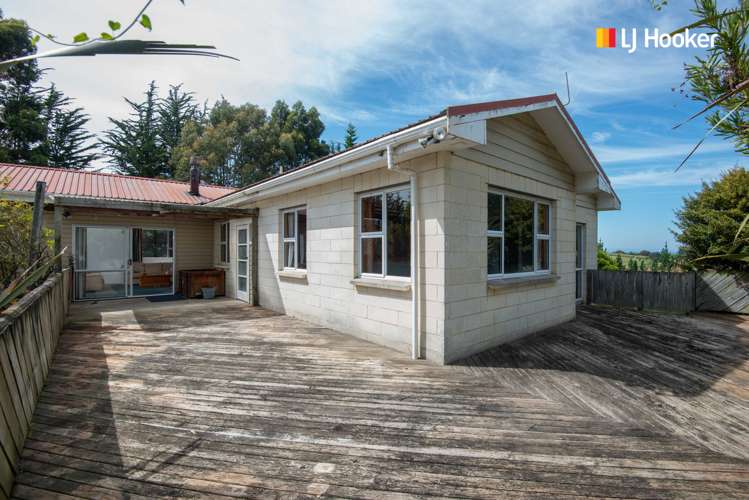 197 Mcintosh Road Brighton_7