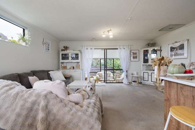 4 Milne Street Sanson_4