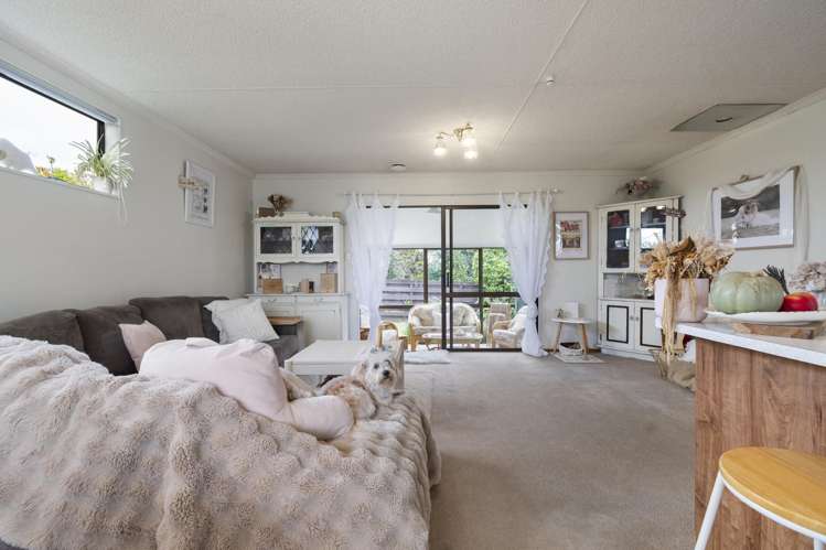 4 Milne Street Sanson_4