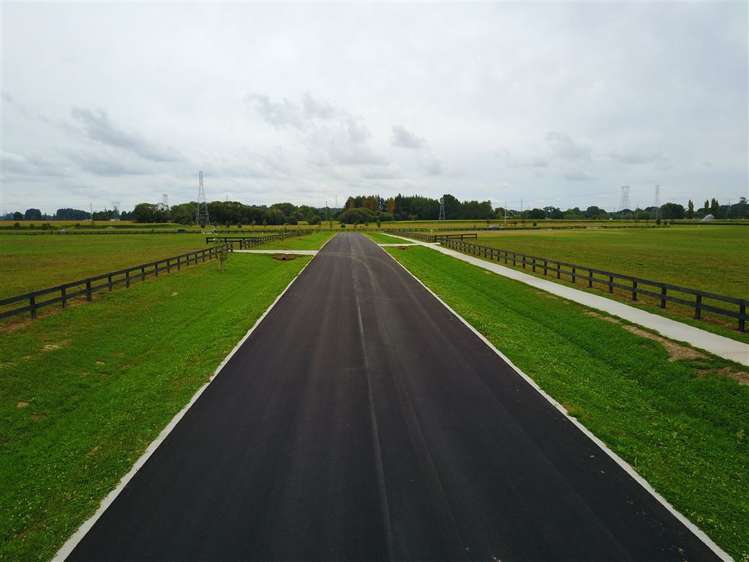 8 Margot Lane Matangi_11