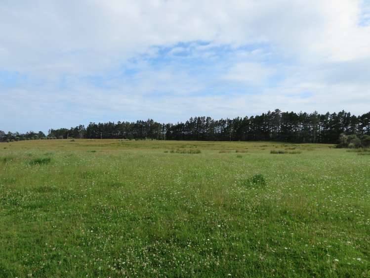 20 Mangatete Road Kaingaroa_9