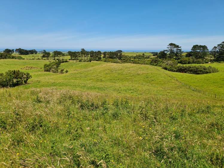 1528 Wiremu Road Rahotu_13