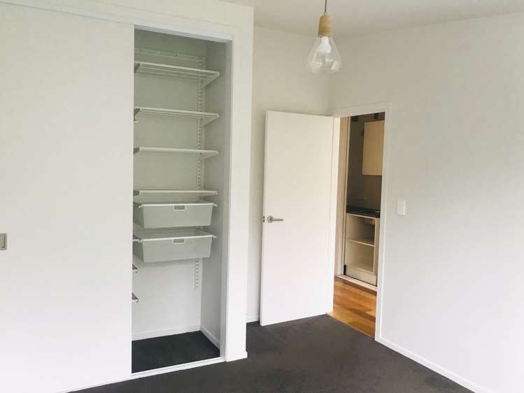 55a Powell Street Avondale_14