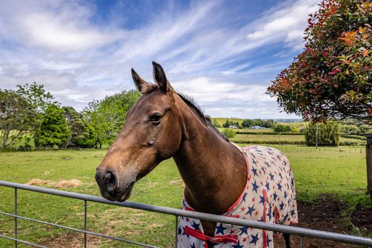 15 Smith Road Pakaraka_31