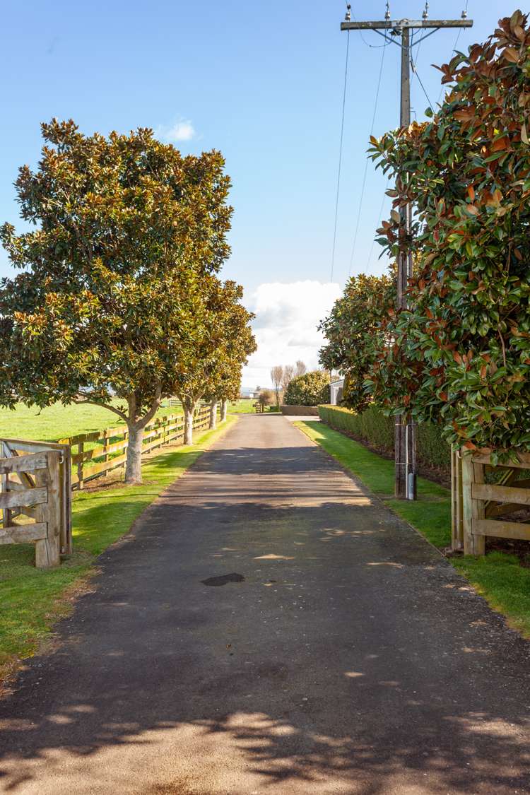 1612 Alexandra Road Waharoa_3