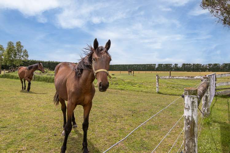 1454 Courtenay Road Kirwee_28