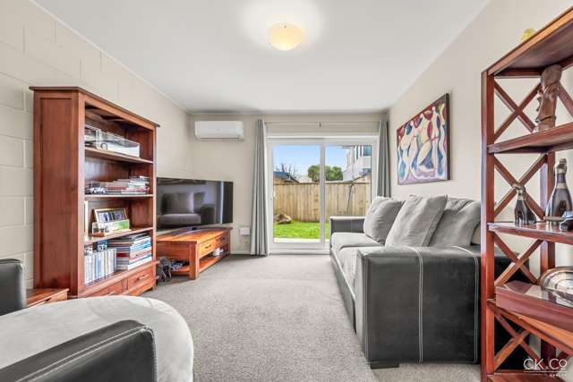 6/31 Tennyson Street Petone_1