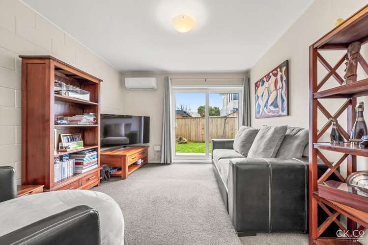 6/31 Tennyson Street Petone_1