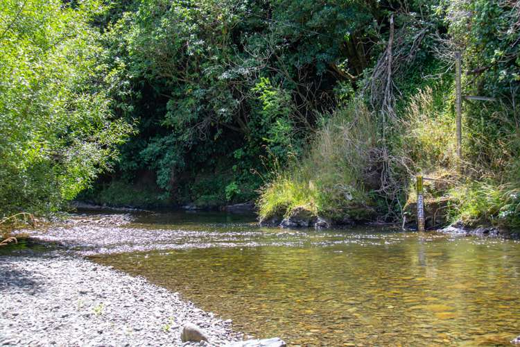 428 Mangatarere Valley Road West Taratahi_19