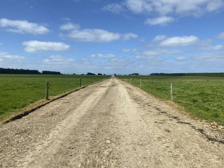 1005 Woodlands Invercargill Highway Longbush_8