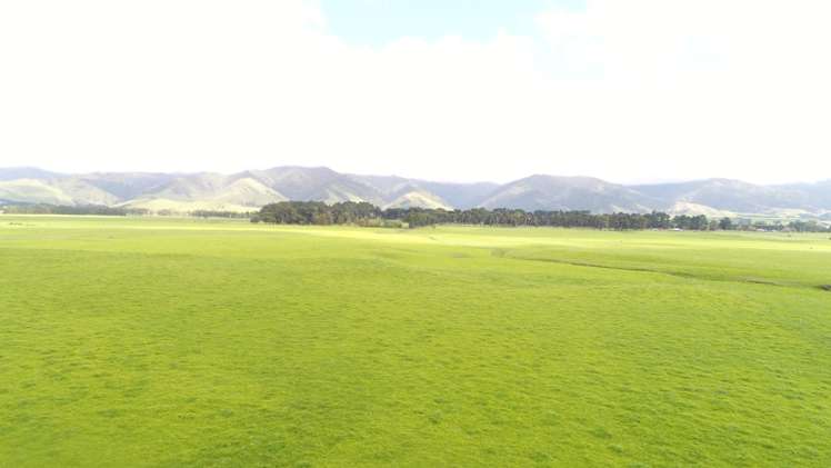 506 Kiritaki Road Dannevirke_6