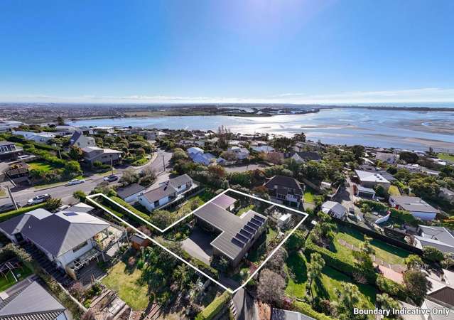45 Major Hornbrook Road Mount Pleasant_3