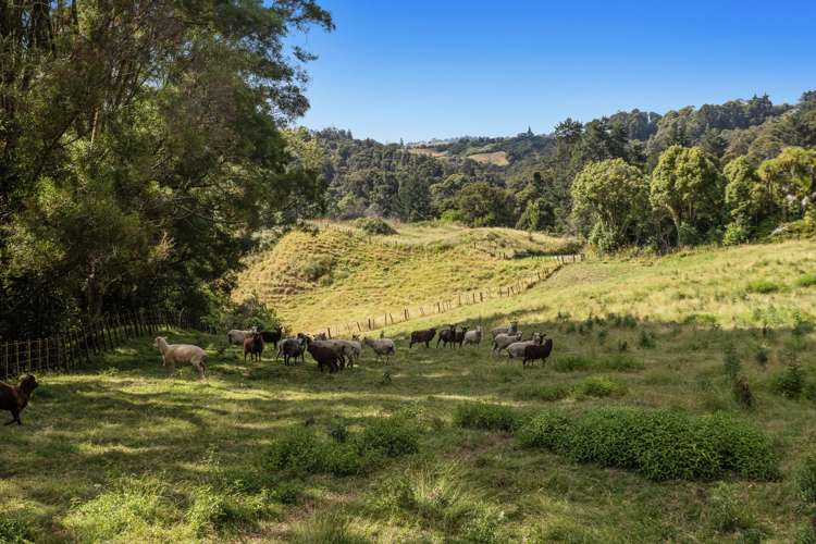 181B McCoy Road Wainui_24