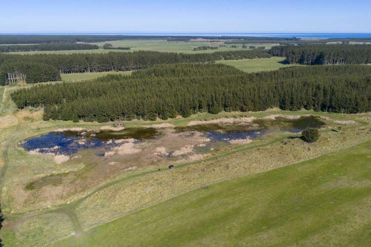 725 Raumai Road Bulls_3