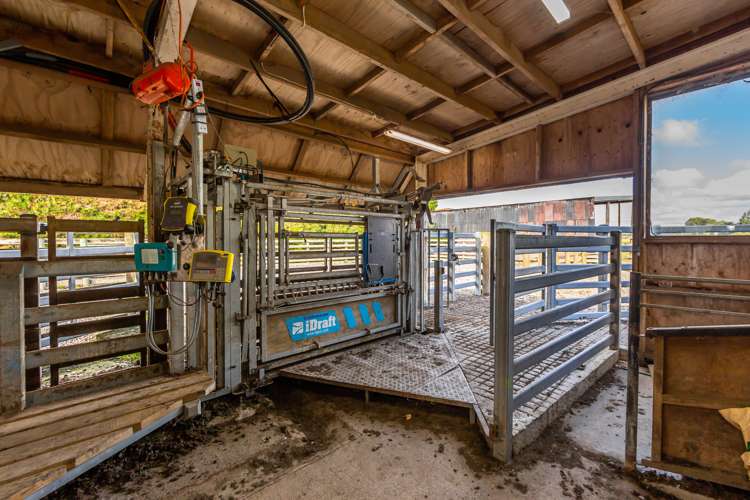 589 Coutts Island Road Coutts Island_20