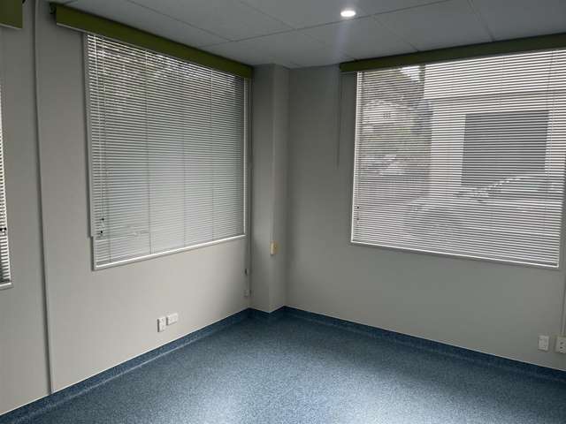 Unit 4 at 219 Collingwood Street Hamilton Central_3