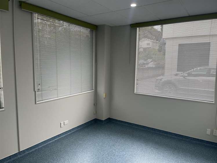 Unit 4 at 219 Collingwood Street Hamilton Central_3