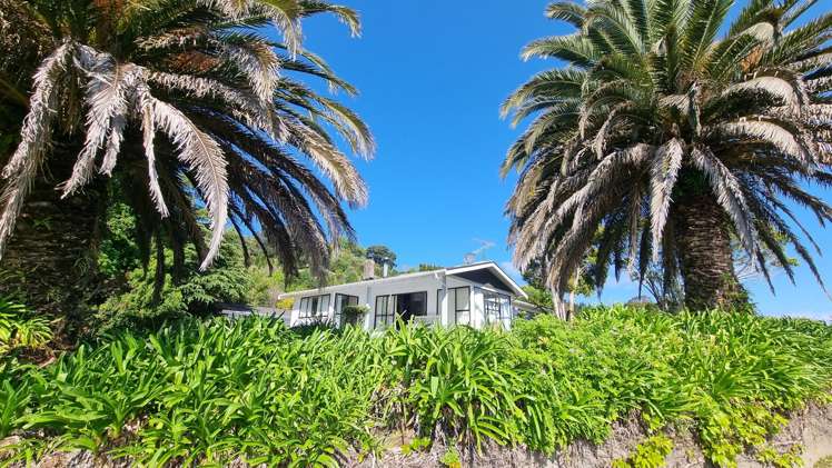 858a Thames Coast Road Te Mata_16