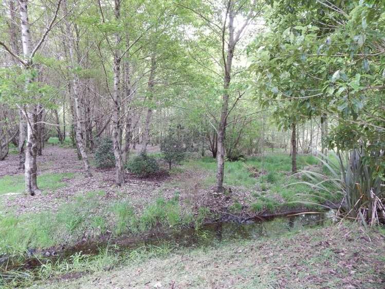 47 Lighthouse Road Cape Foulwind_5