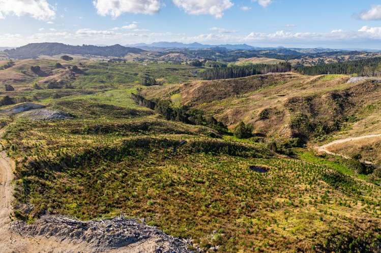 Arcadia Road Paparoa_9