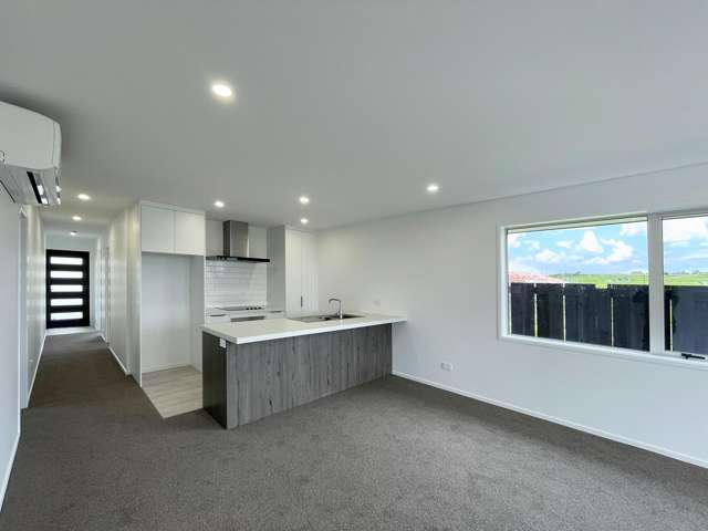 2 Pourewa St Lakeside Development_3