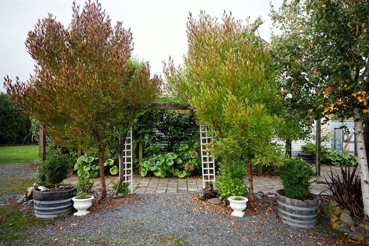 136 Ludstone Road Kaikoura_49