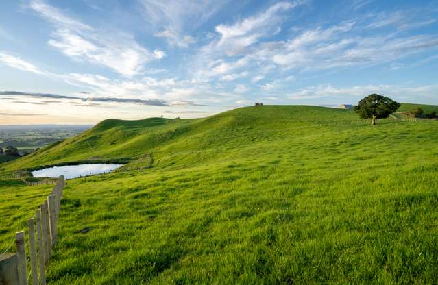 699 Maungakawa Road Te Miro_3