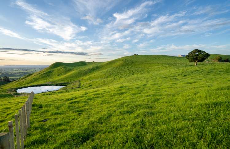 699 Maungakawa Road Te Miro_3