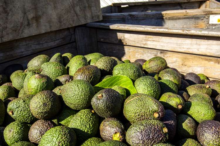 89c Merrick Road Pyes Pa_19