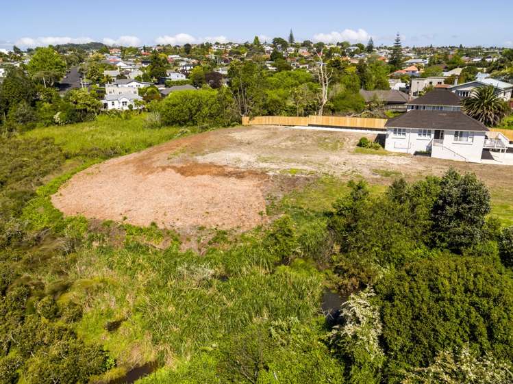 61a Holly Street Avondale_7