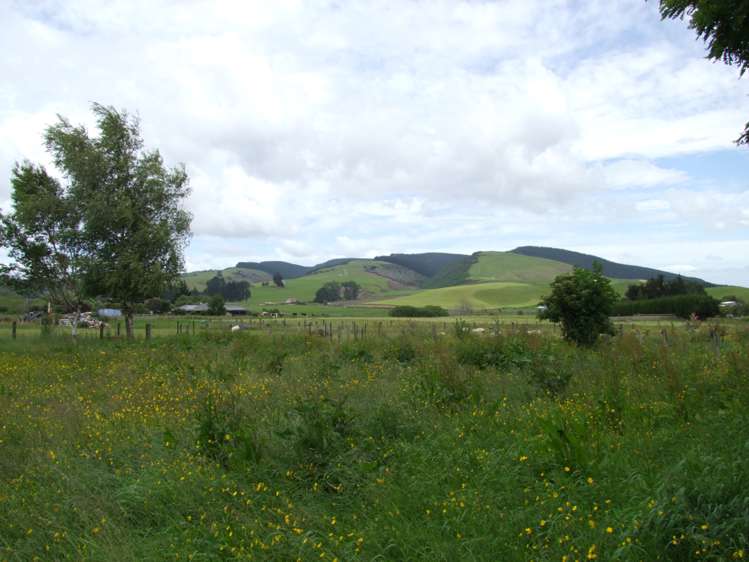 24 Leman Street Milton_33