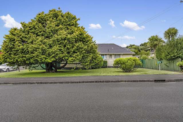 76 Court Crescent Panmure_4