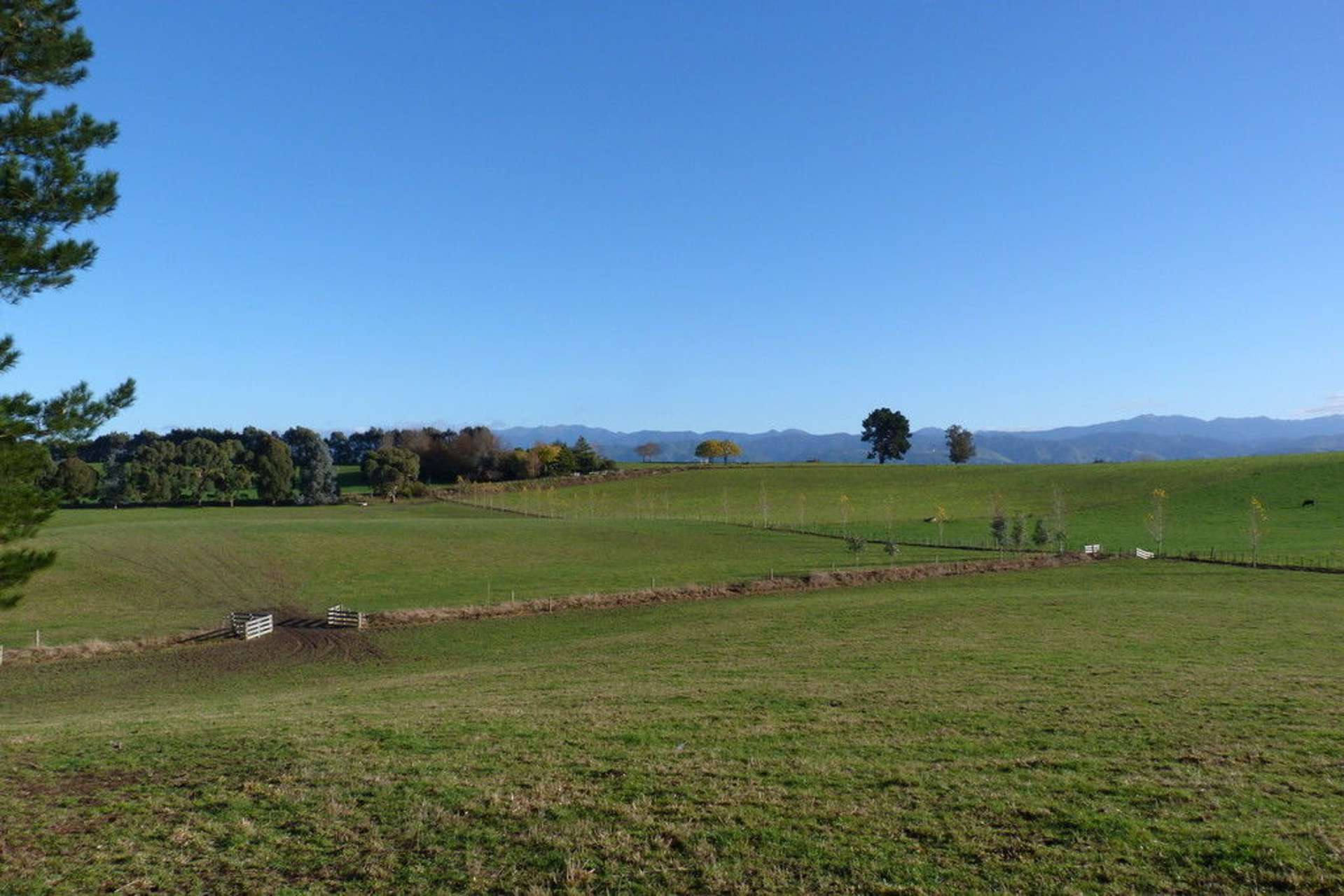 8 Maple Lane Carterton_0