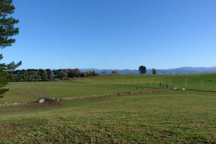 8 Maple Lane Carterton_0