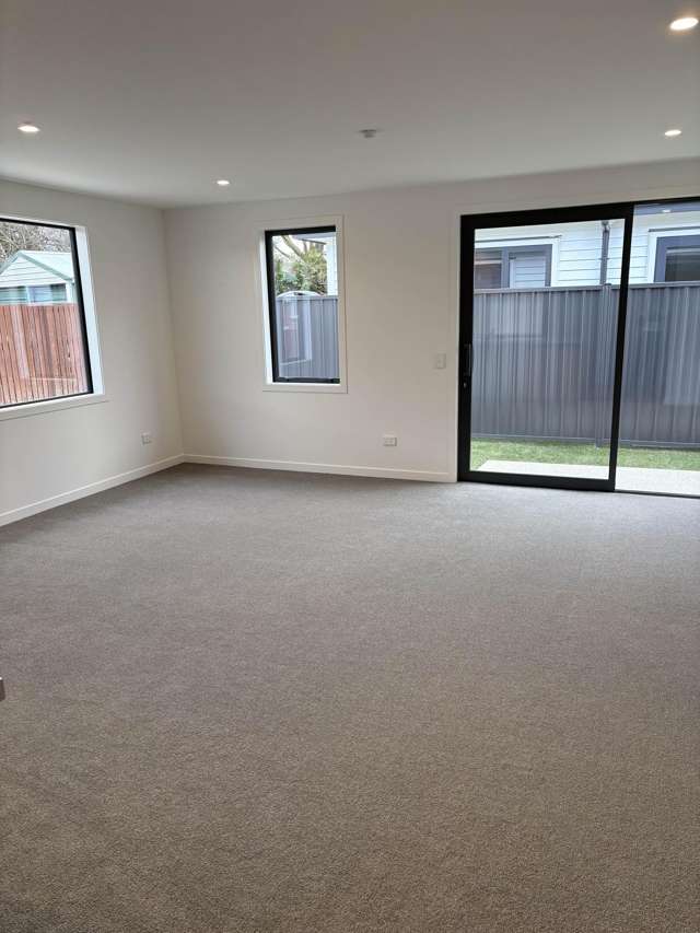 19B Killarney Street Alexandra_3