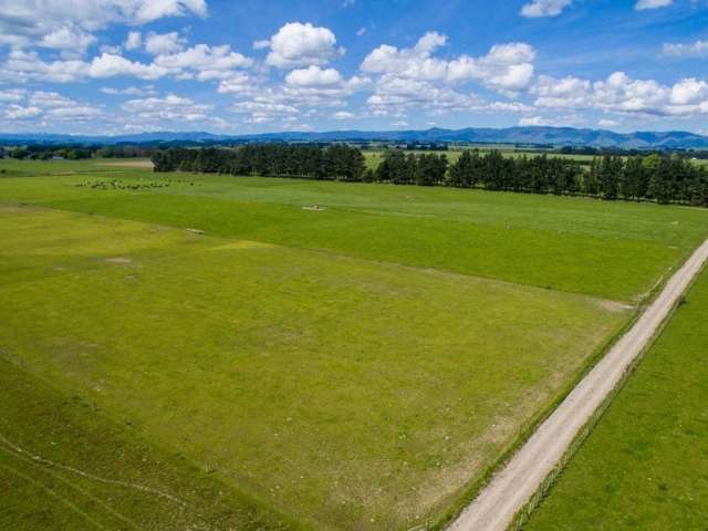 835 Kimbolton Road Feilding_3