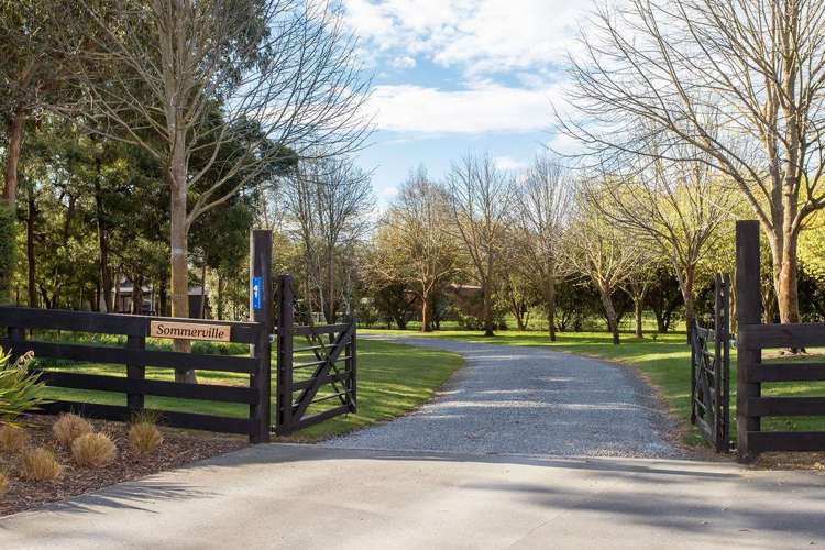 41 Kingcraft Drive Prebbleton_3