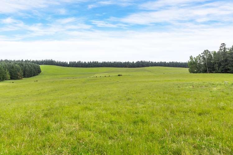 Steeles Road Hororata_10