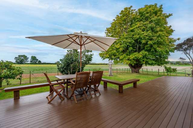 252 Napier Road Havelock North_4