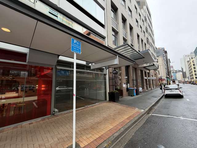 119 Featherston Street Wellington Central_2