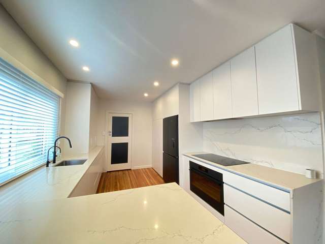 13 Ballarat Street Ellerslie_2