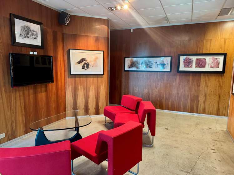 416 Anglesea Street Hamilton Central_2