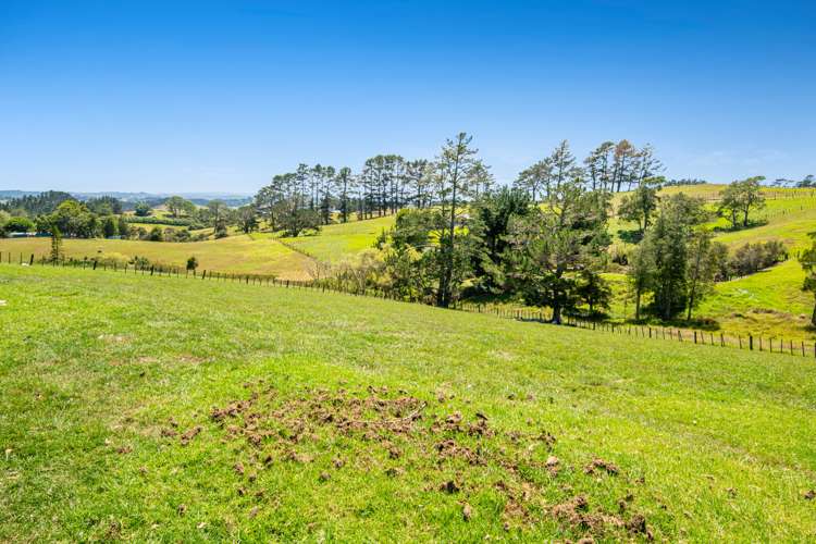 81 Burne Road Waitoki_30